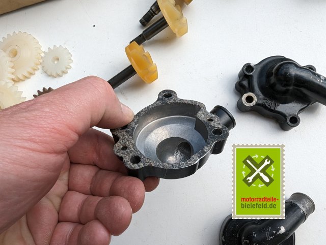 PXL_20240528_135648483